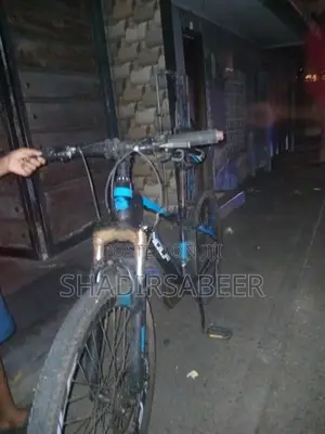 Mountain Bicycle