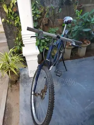 Mountain Bicycle