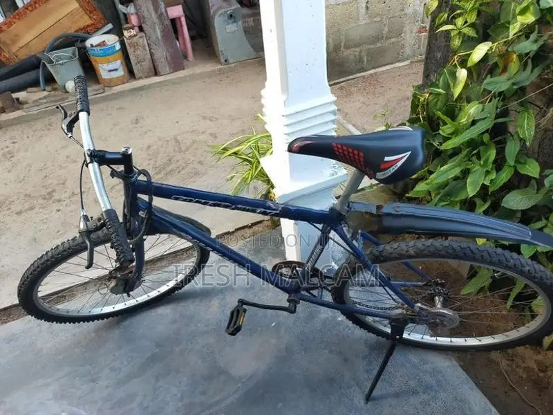 Mountain Bicycle