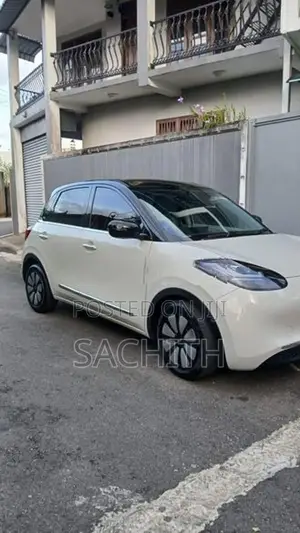 Wuling Binguo 2025