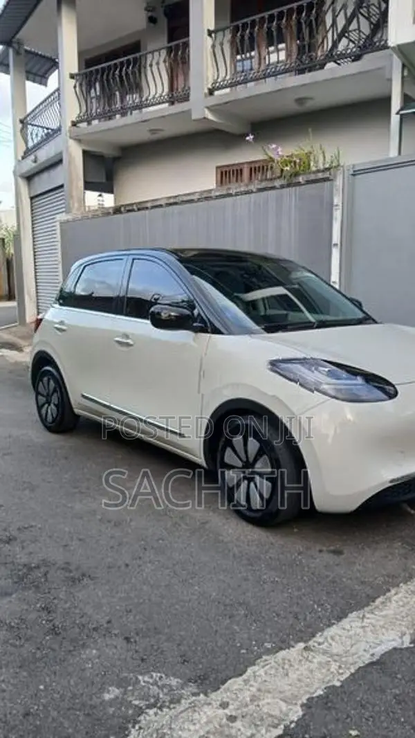 Wuling Binguo 2025