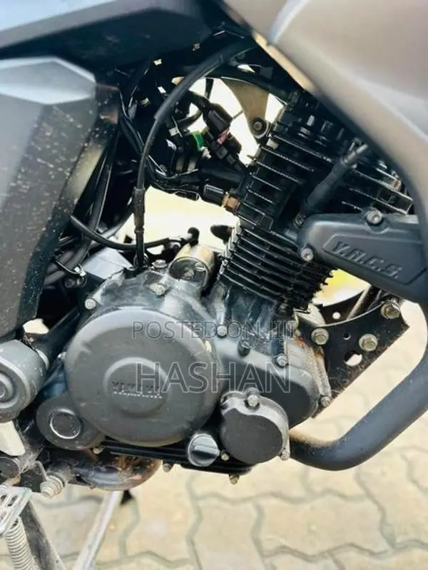 Yamaha FZ S 2018