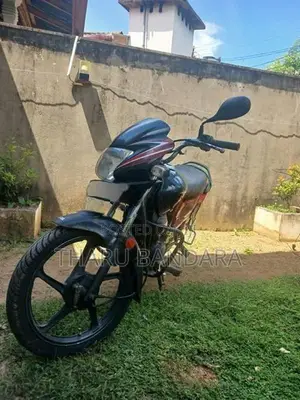 Hero Passion pro 2010