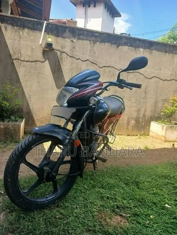 Hero Passion pro 2010