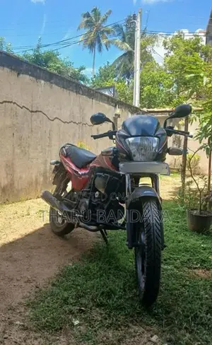 Hero Passion pro 2010