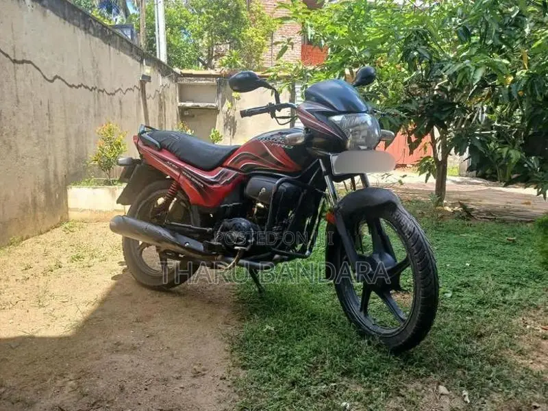 Hero Passion pro 2010