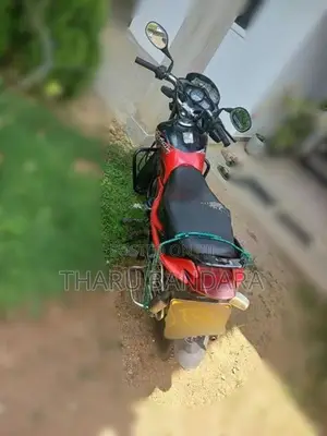 Hero Passion pro 2010
