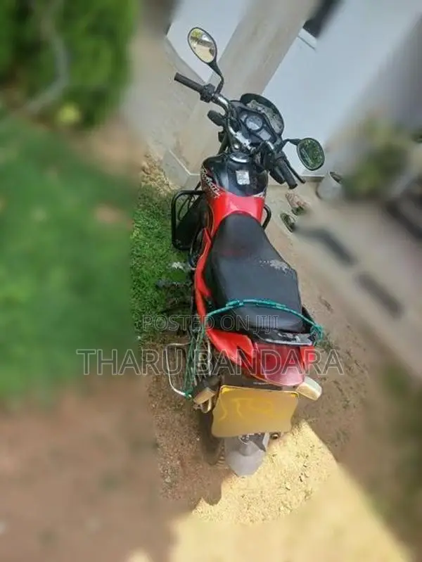 Hero Passion pro 2010