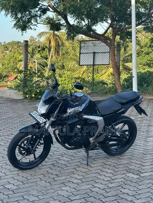Yamaha FZs V2 2015