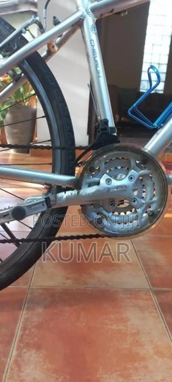 Chevaux Alloy Mountain Bike
