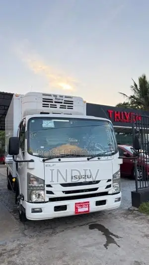Isuzu Elf 2019