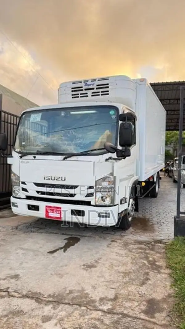 Isuzu Elf 2019