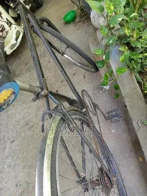 Normal Bike