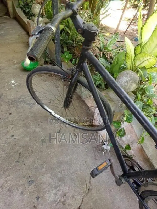 Normal Bike