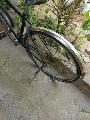 Normal Bike