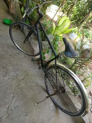 Normal Bike