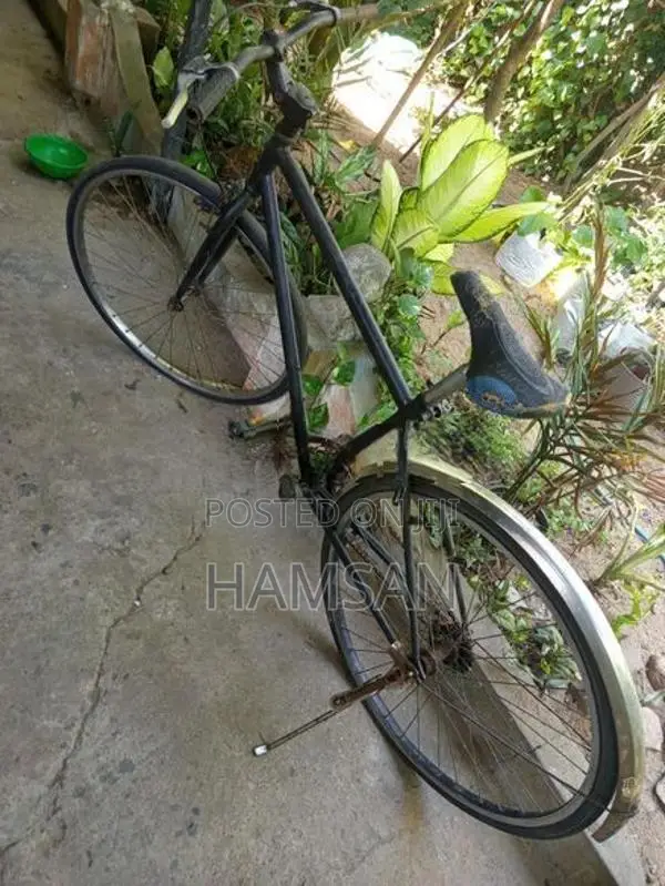 Normal Bike