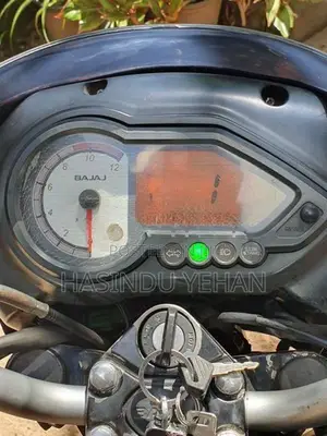 Bajaj Pulsar 150 2010