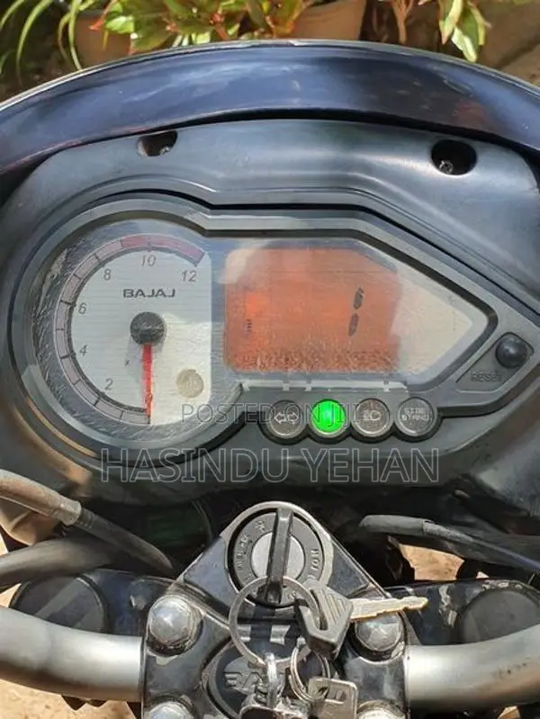 Bajaj Pulsar 150 2010