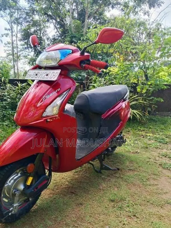 Hero Pleasure 2014