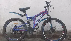 Tomahawk Bicycle