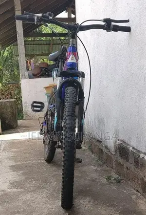 Tomahawk Bicycle