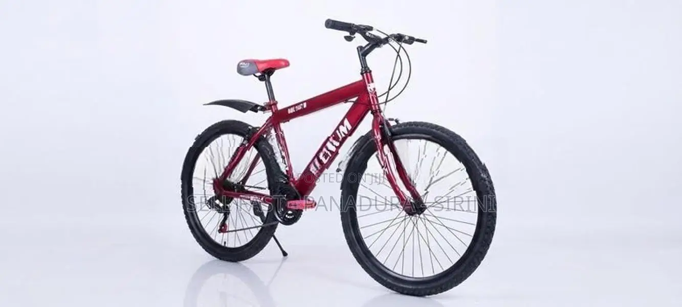 Mountain Bicycle 24