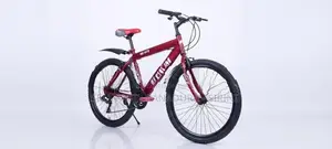 Mountain Bicycle 24