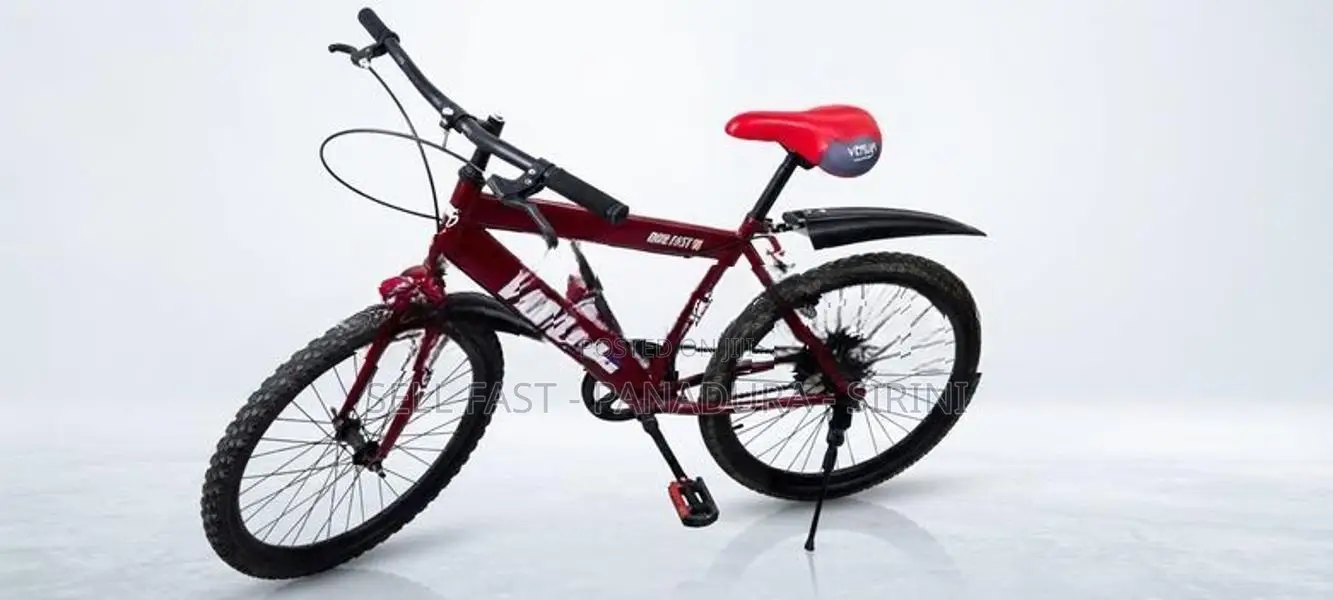 Mountain Bicycle 24