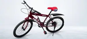 Mountain Bicycle 24
