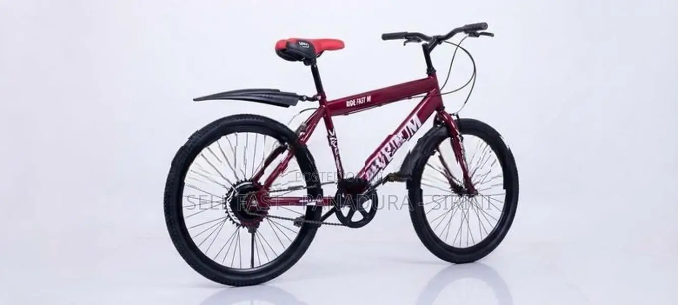 Mountain Bicycle 24