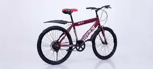 Mountain Bicycle 24