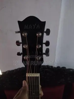 Acoustic Guitar