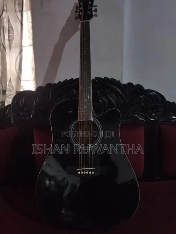 Acoustic Guitar