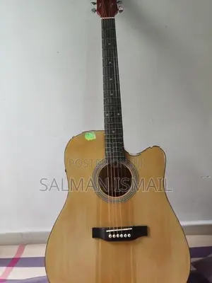Semi Acoustic Guitar