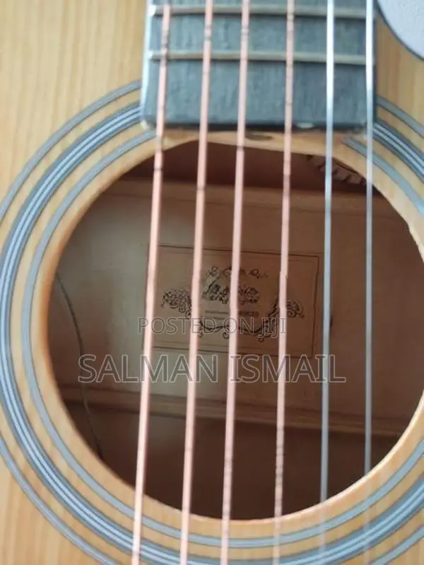 Semi Acoustic Guitar