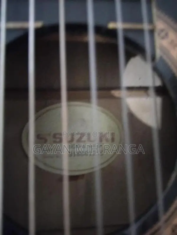 Guitar