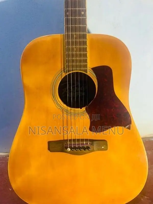 Semi Accoustic Guitar