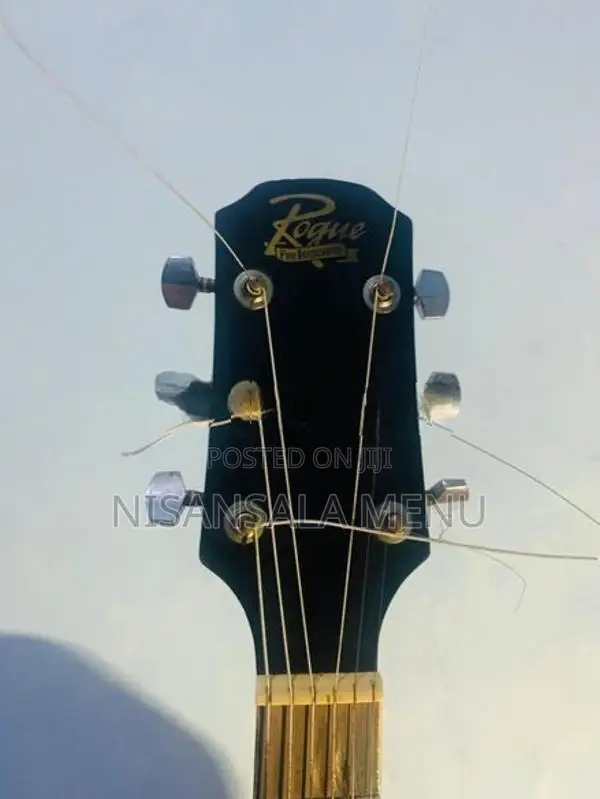 Semi Accoustic Guitar