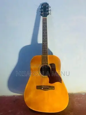 Semi Accoustic Guitar