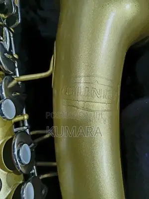 Selmer Bundy Alto Saxophone