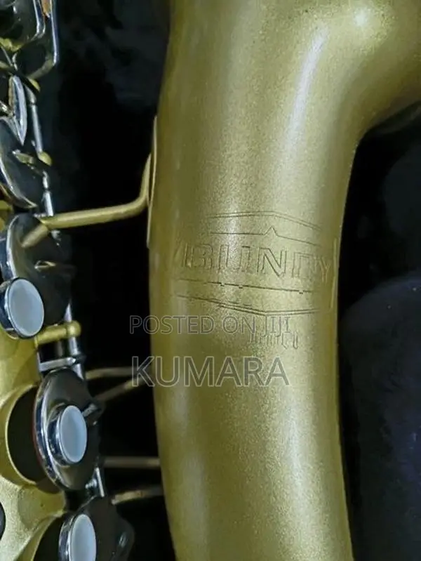 Selmer Bundy Alto Saxophone