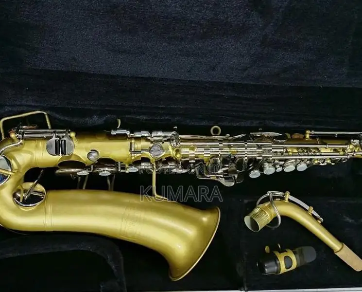 Selmer Bundy Alto Saxophone