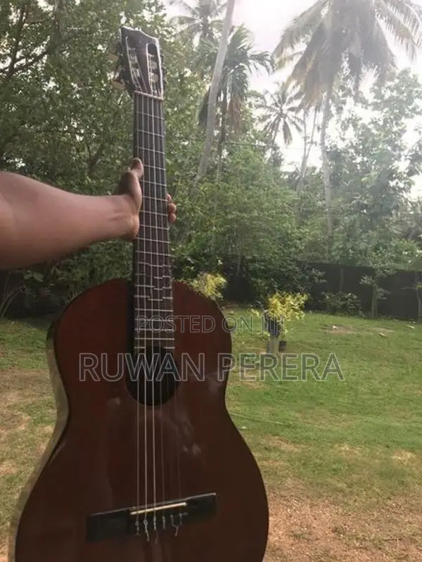 Classical Guitar