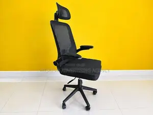 Head Rest Office Chair