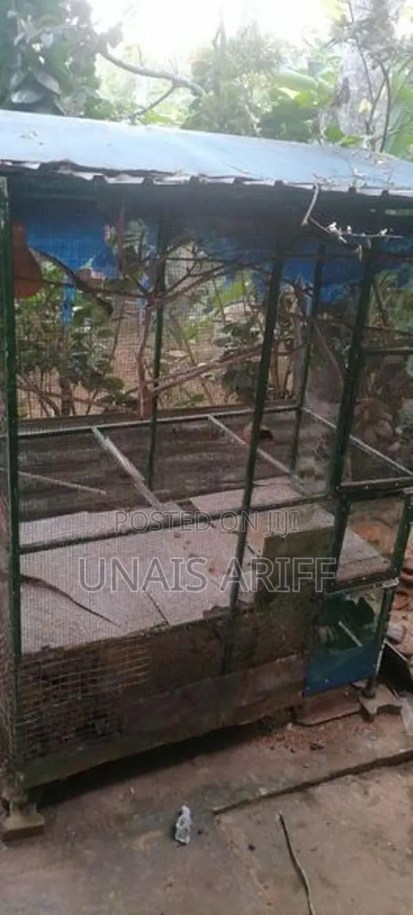 කුරුලු කූඩුව
