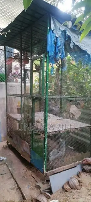 කුරුලු කූඩුව