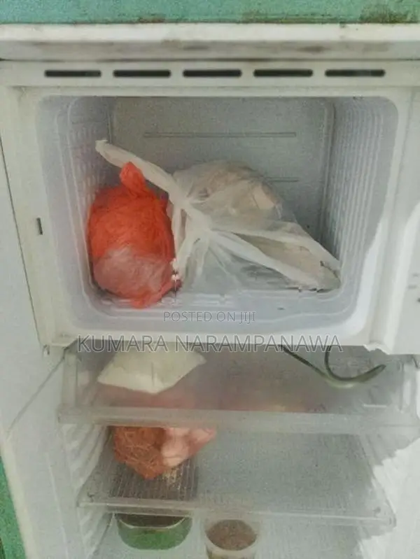 Singer Refrigerator