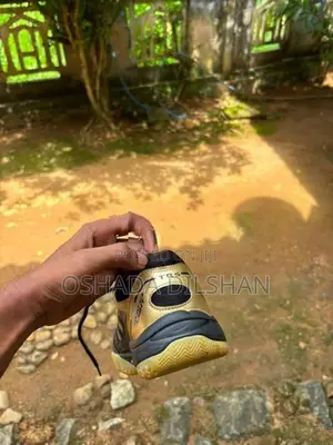Indoor Sport Shoes