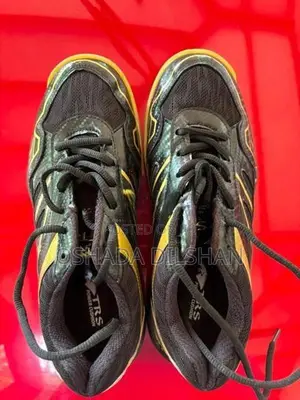Indoor Sport Shoes